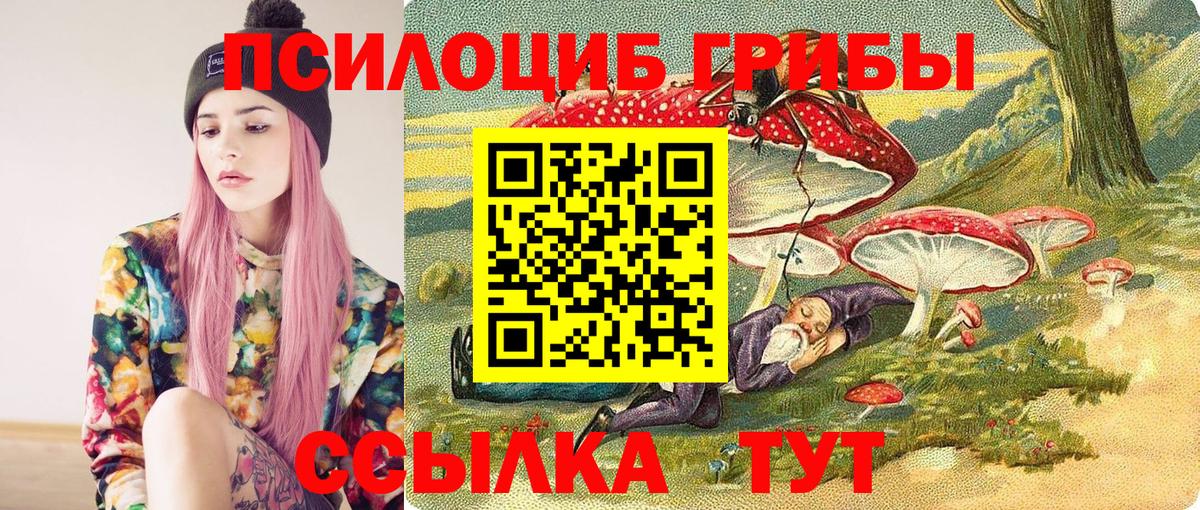 Галлюциногенные грибы MAGIC MUSHROOMS  Псилоцибиновые грибы мухоморы  Екатеринбург  Вход с VPN 